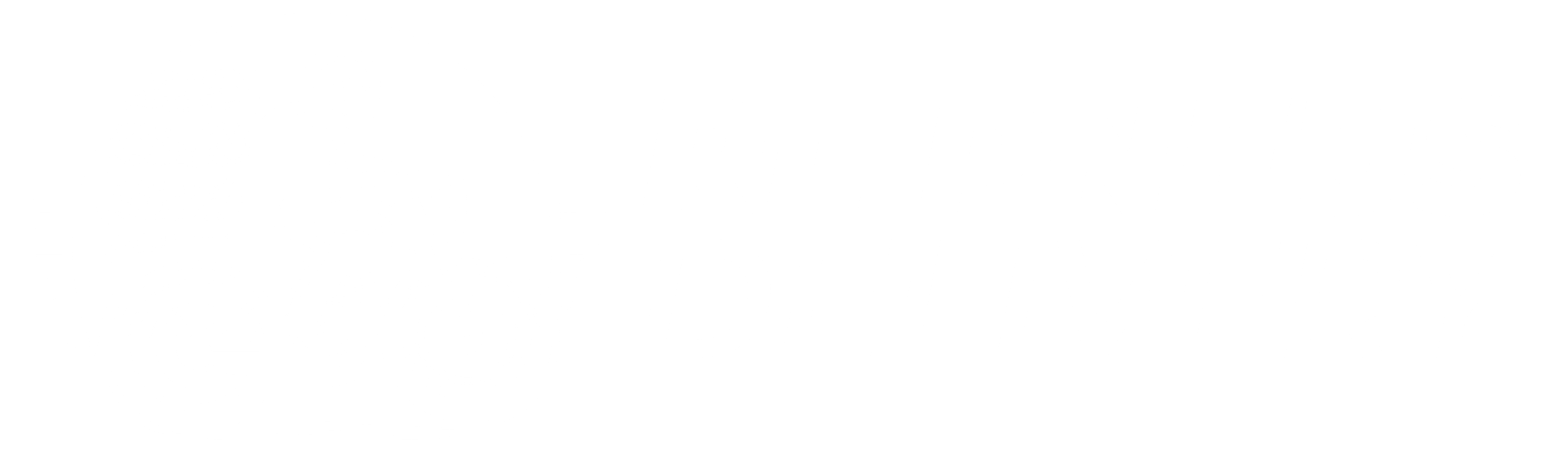 Pneus Delivery